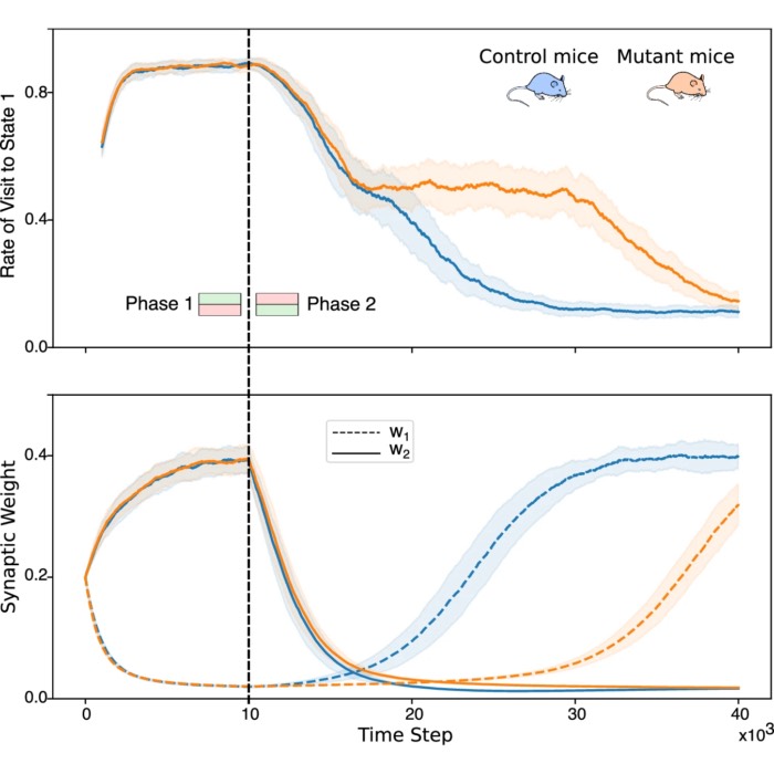 Astrocytes enhance plasticity response during reversal learning